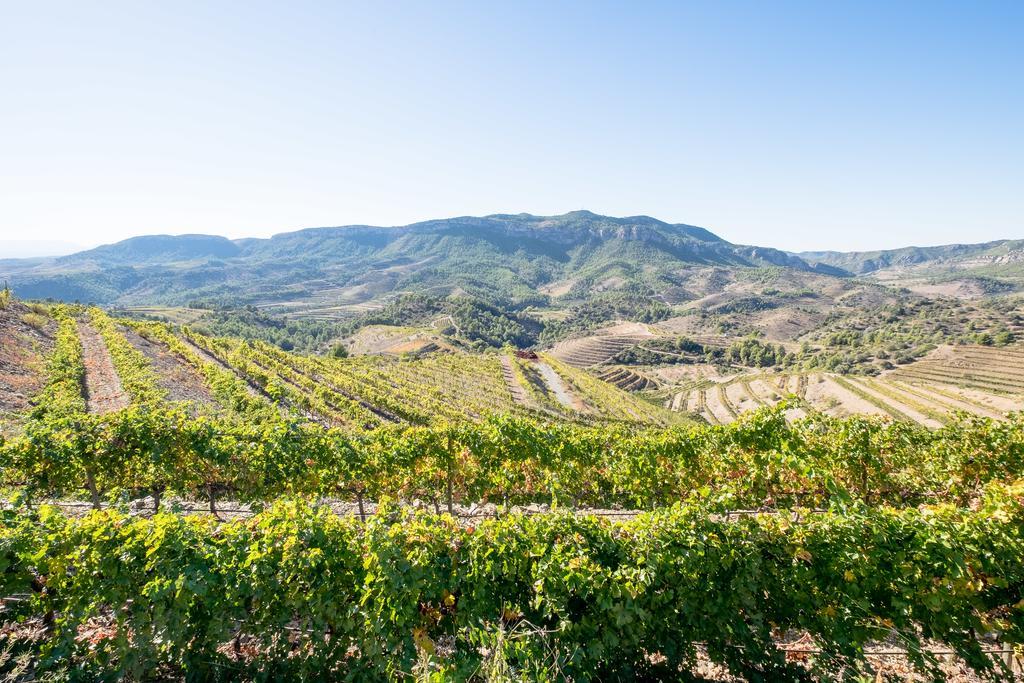 Buil&Gine Wine Hotel Gratallops Exterior foto