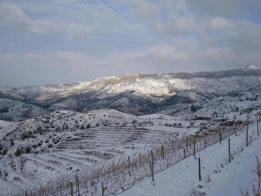 Buil&Gine Wine Hotel Gratallops Exterior foto