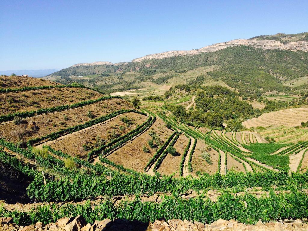 Buil&Gine Wine Hotel Gratallops Exterior foto